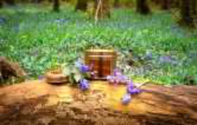 Irish soy wax candle in a copper tin sitting  on a log in a forest setting of wild bluebells.