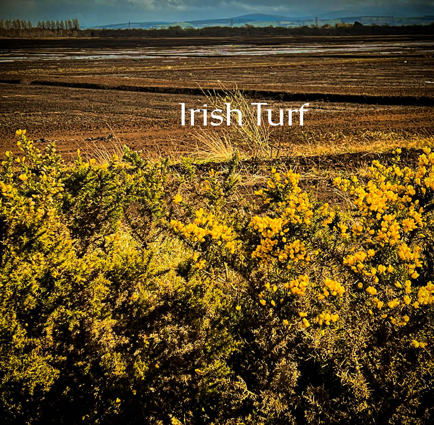Irish Turf on an Irish Bog image