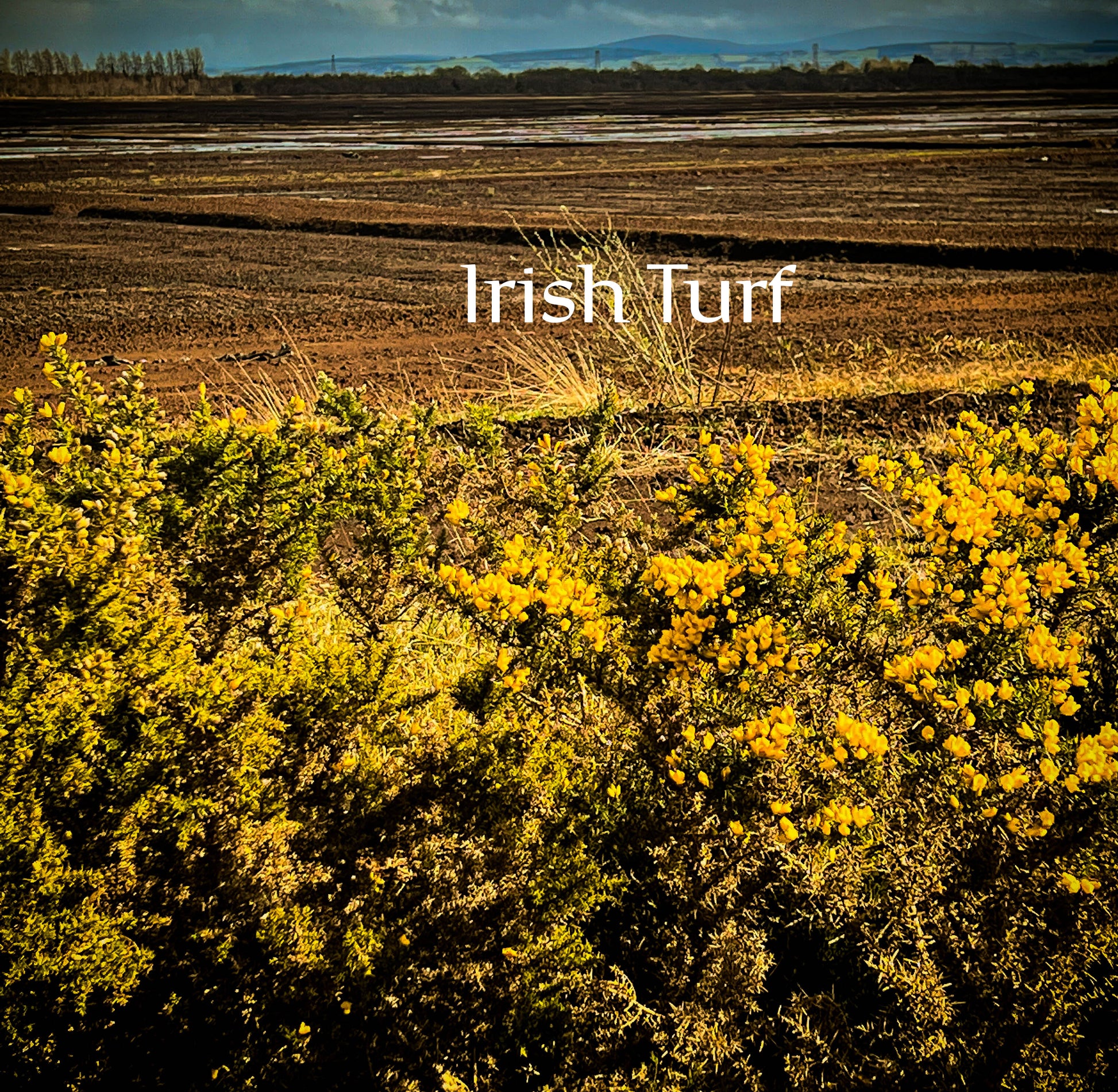 Irish Turf on an Irish Bog image